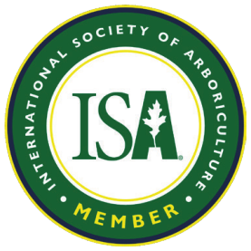 Home Page 5 ISA Member