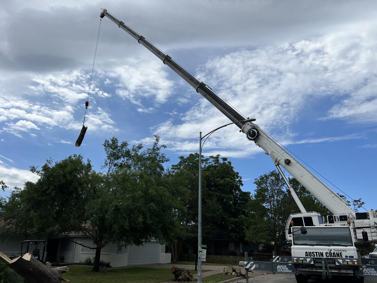 Crane lifting a heavy tree trunk section during removal
