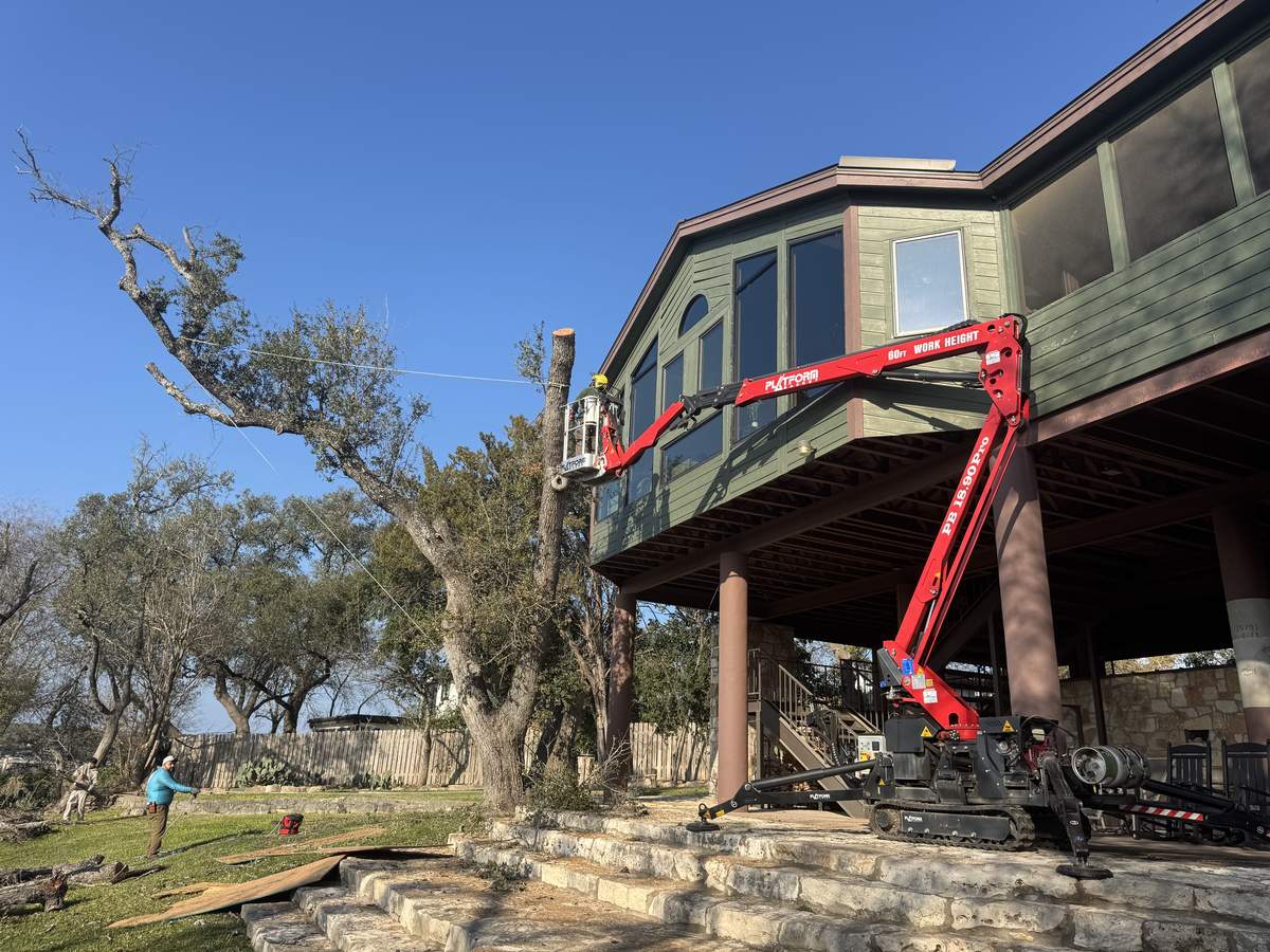 Crew using tracked lift to remove a tree at a residential property