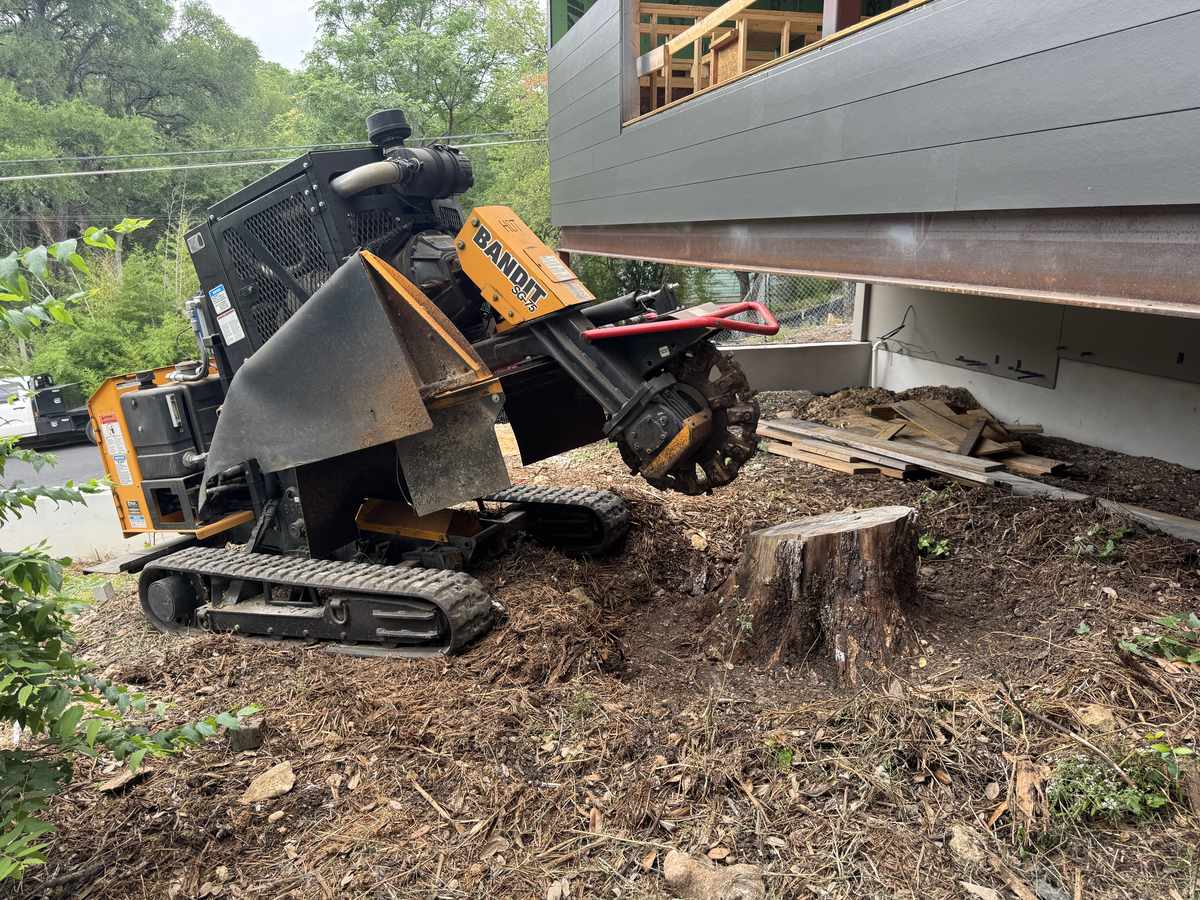 Stump grinder in action removing a tree stump at a residential property in Austin