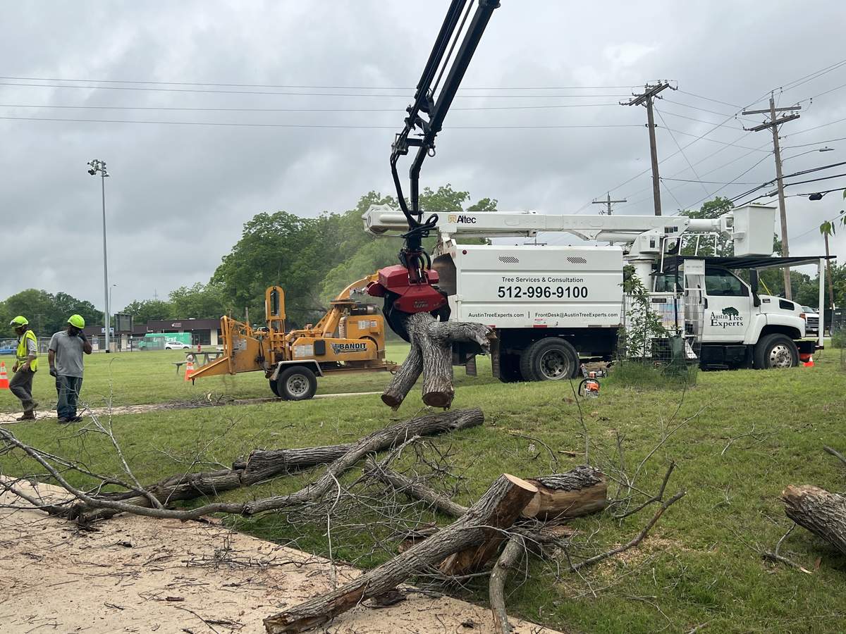 Home Page 7 Crane with grapple removing a large tree in an Austin neighborhood