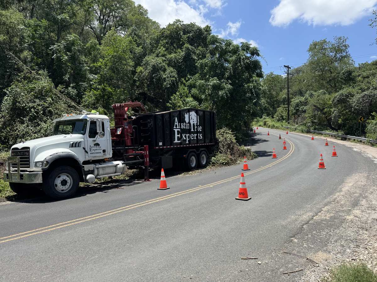Public Service 2 Tree removal along a Hill Country road in the Austin area