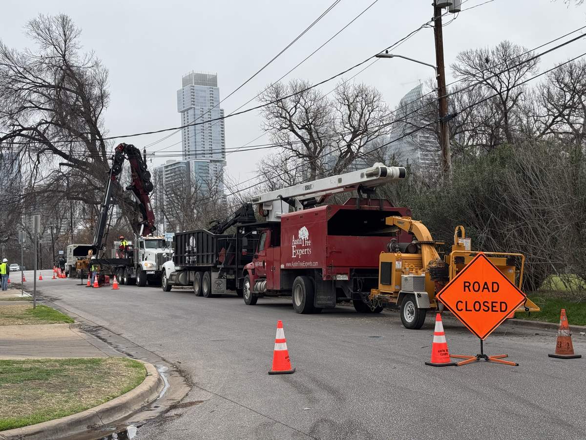 Public Service 1 Austin Tree Experts crew working on roadside trees with Austin skyline