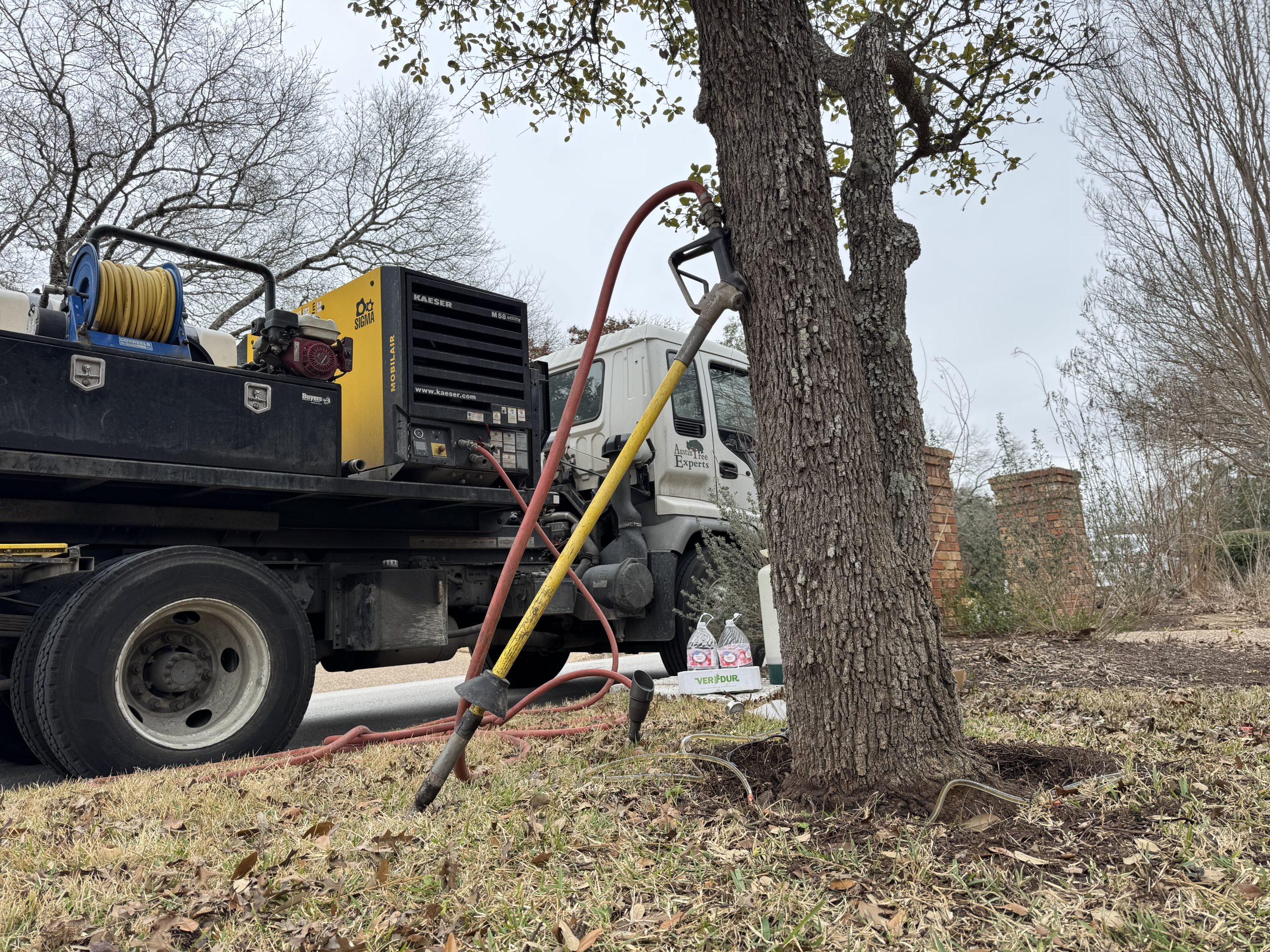 Air-Spade compressed air equipment set up at tree base for soil treatment
