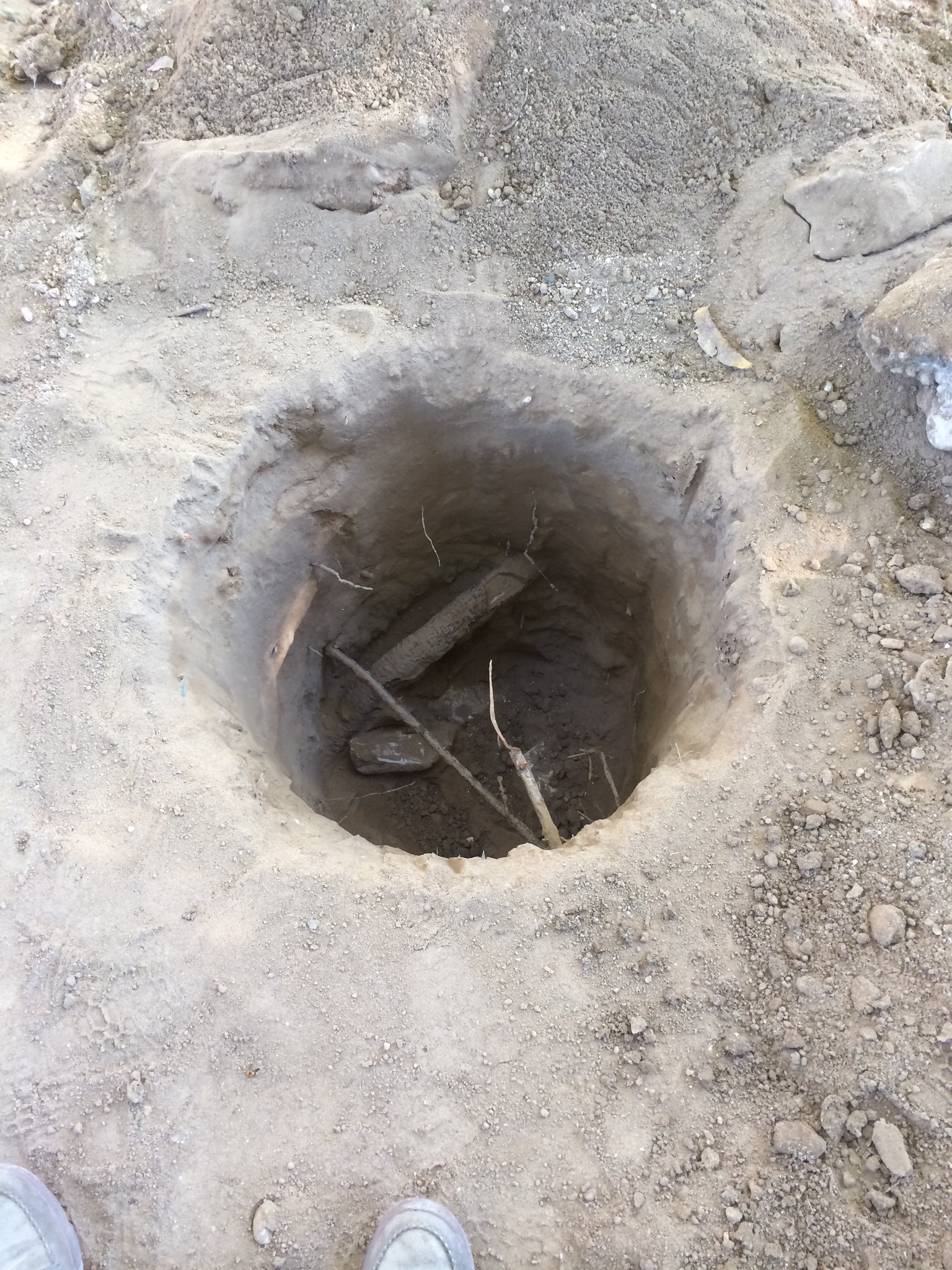 Air Spade Services 5 Air-Spade excavation preserving tree roots around pier hole