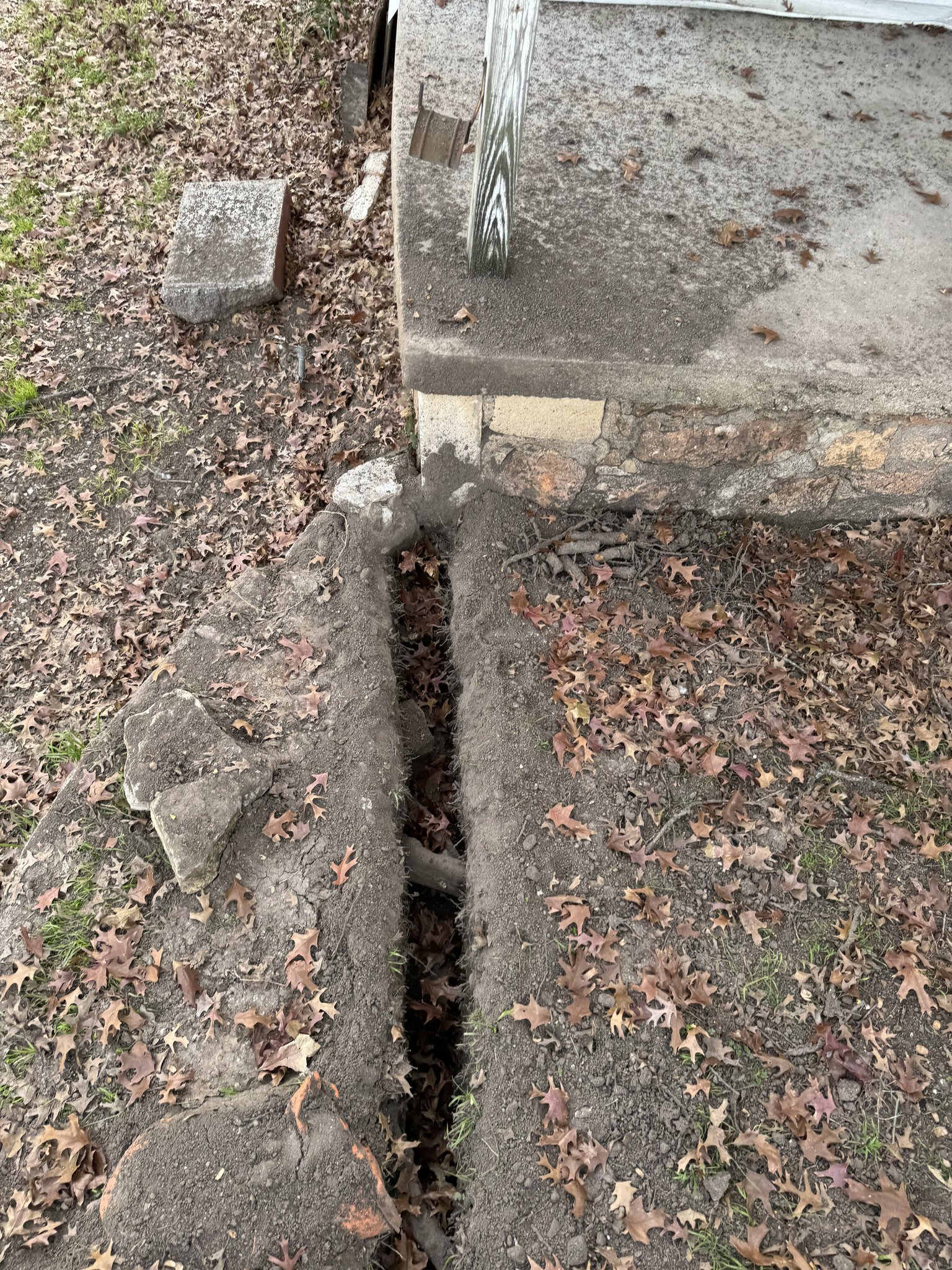 Air Spade Services 3 Air-Spade trenching to preserve tree roots near sidewalk