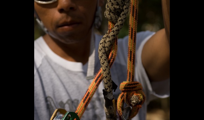 Company Training 2 Close-up of climbing rope knots and rigging equipment used in professional tree work