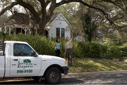 Austin Tree Experts arborist consulting at residential property