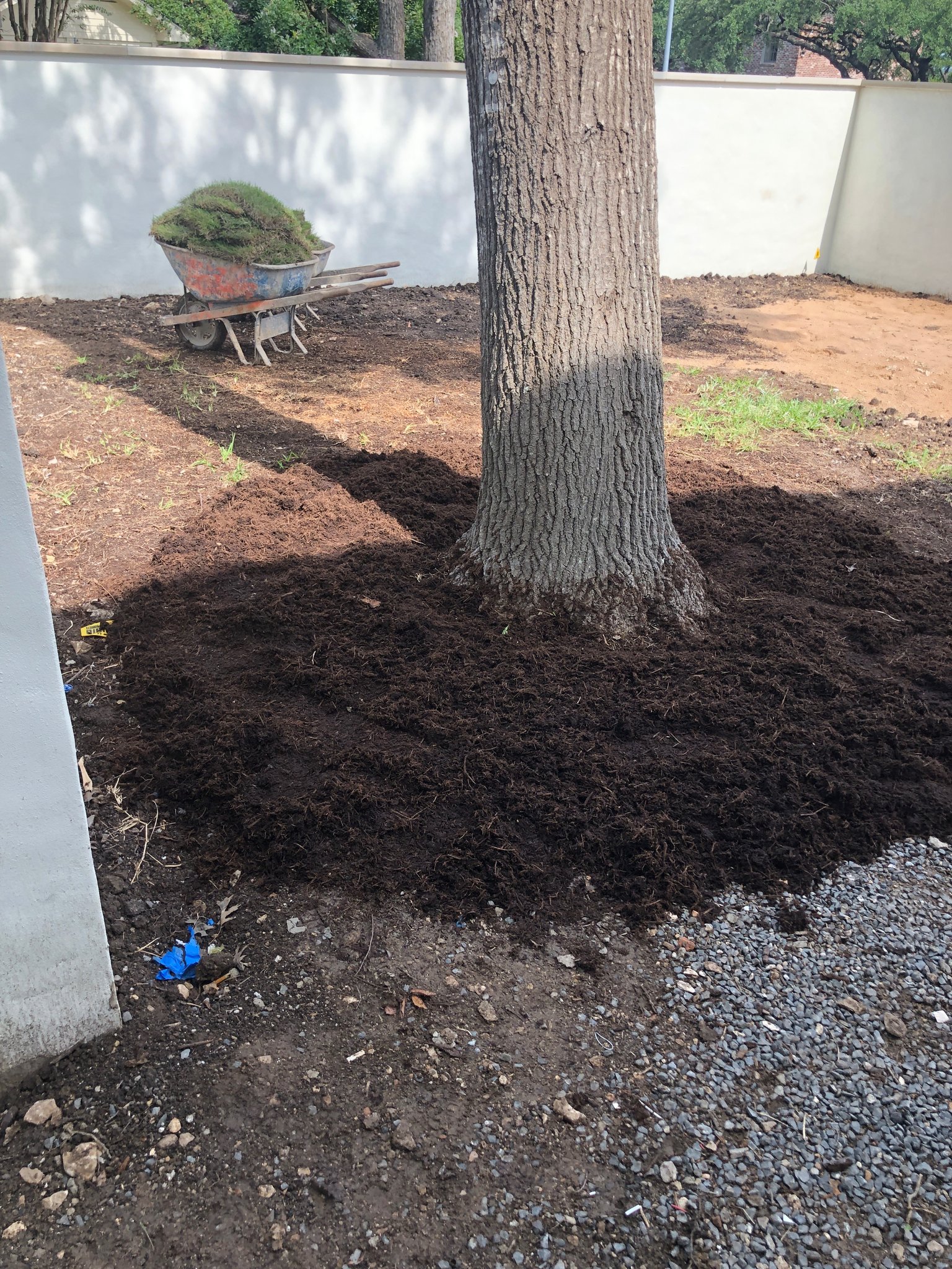 Proper mulch application around tree base in Austin landscape