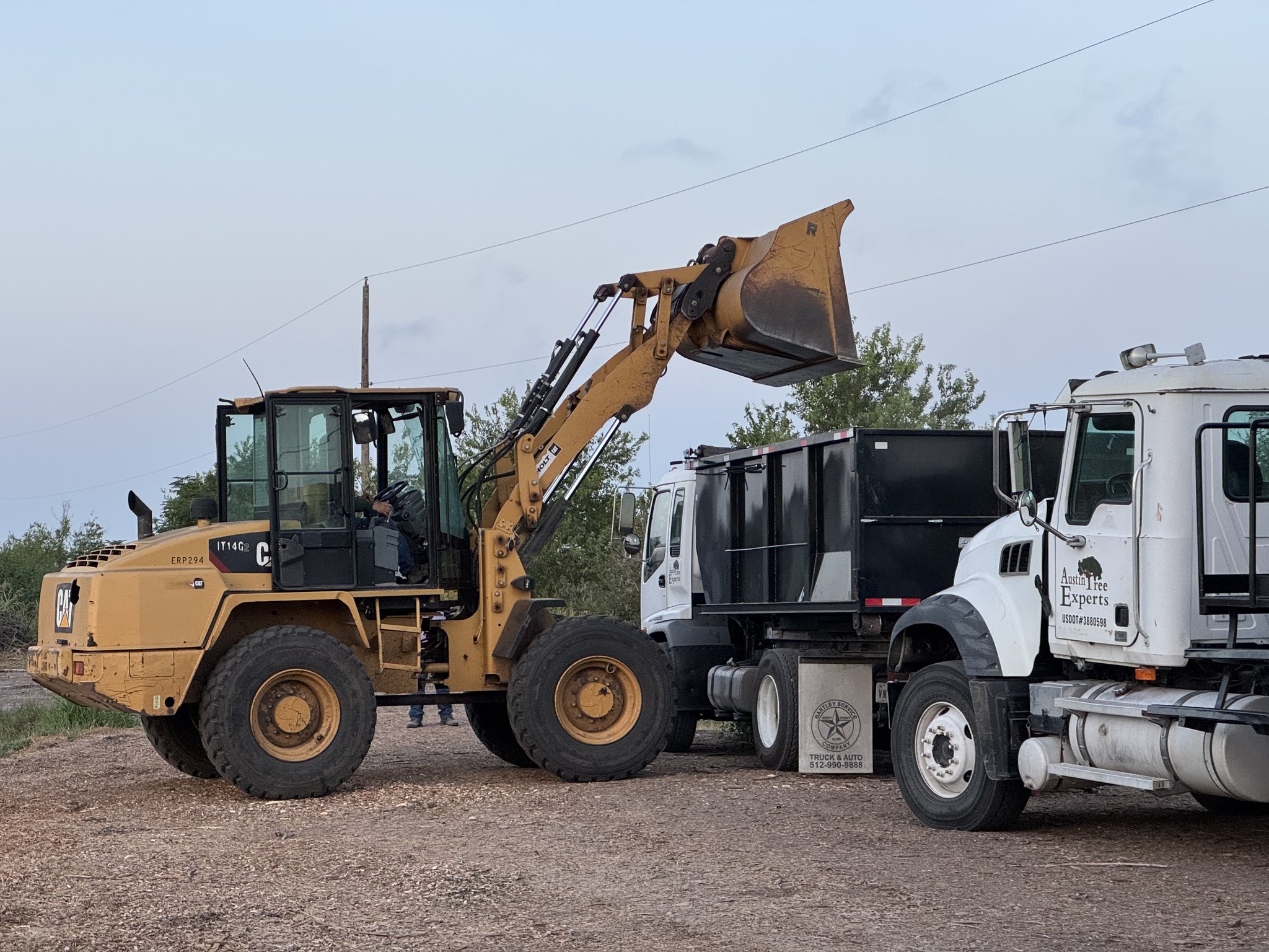 CAT loader filling dump truck with mulch at Austin Tree Experts facility