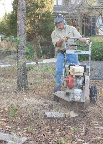 Austin Tree Experts operator grinding a stump at a residential property