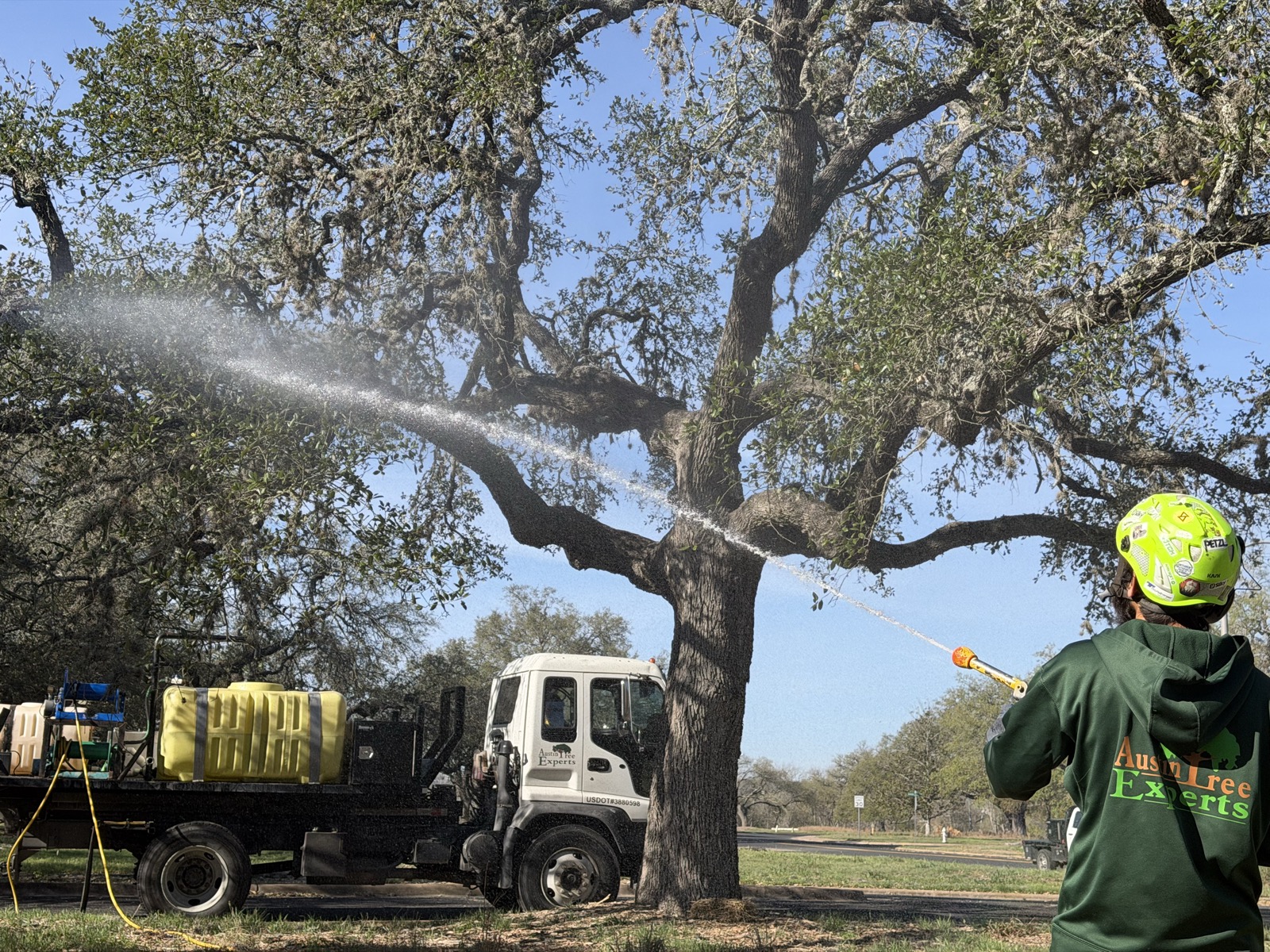 Home Page 8 Tree care service with Austin Tree Experts branded truck in Austin