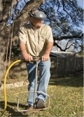Arborist performing deep root fertilizer treatment on a tree in Austin