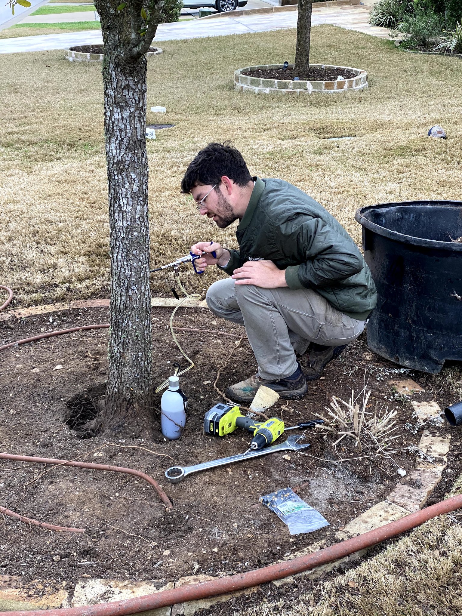 Arborist performing root zone injection treatment at tree base in Austin