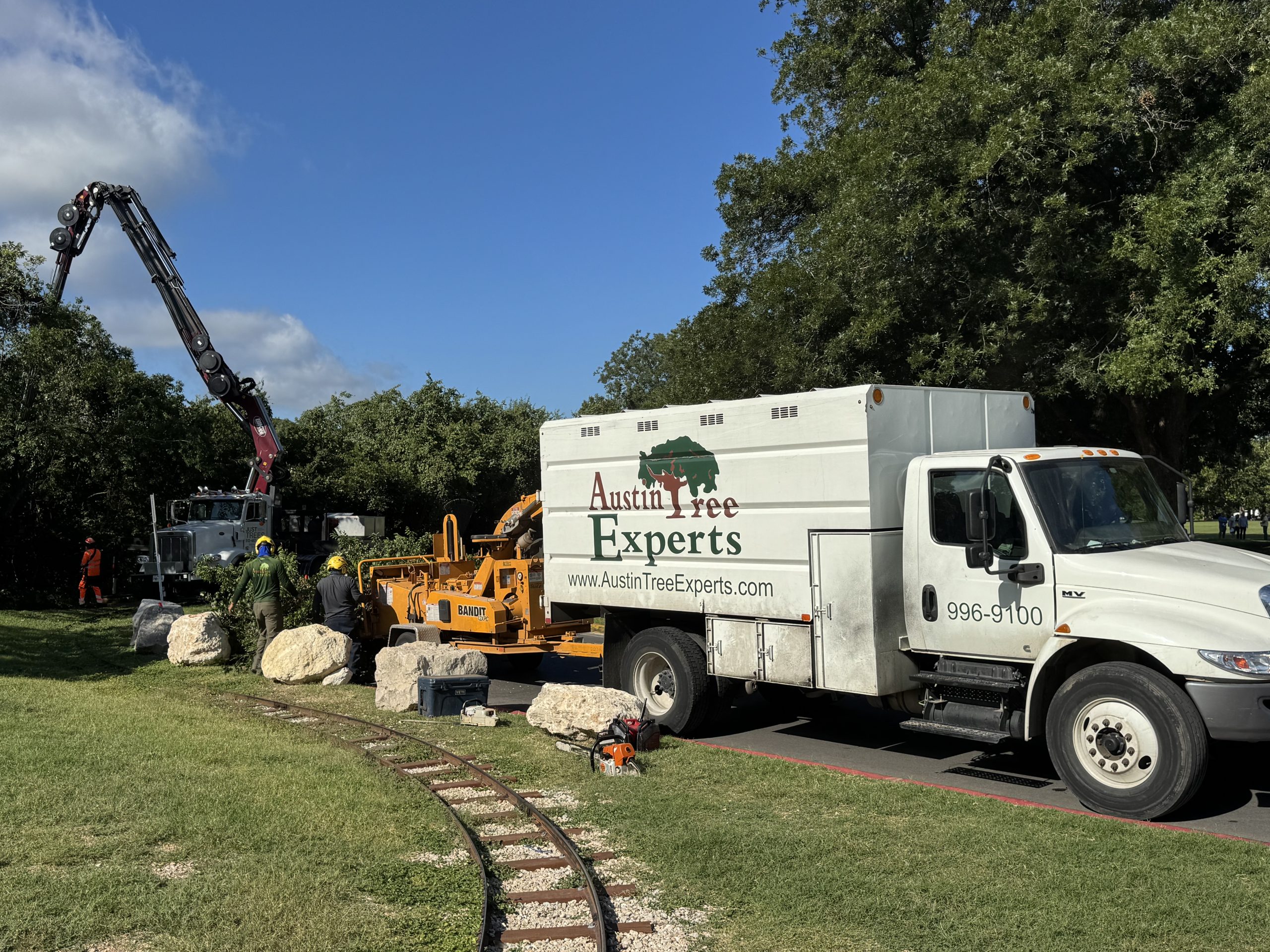 Home Page 13 Austin Tree Experts crew working on a tree service job in Zilker Park, Austin