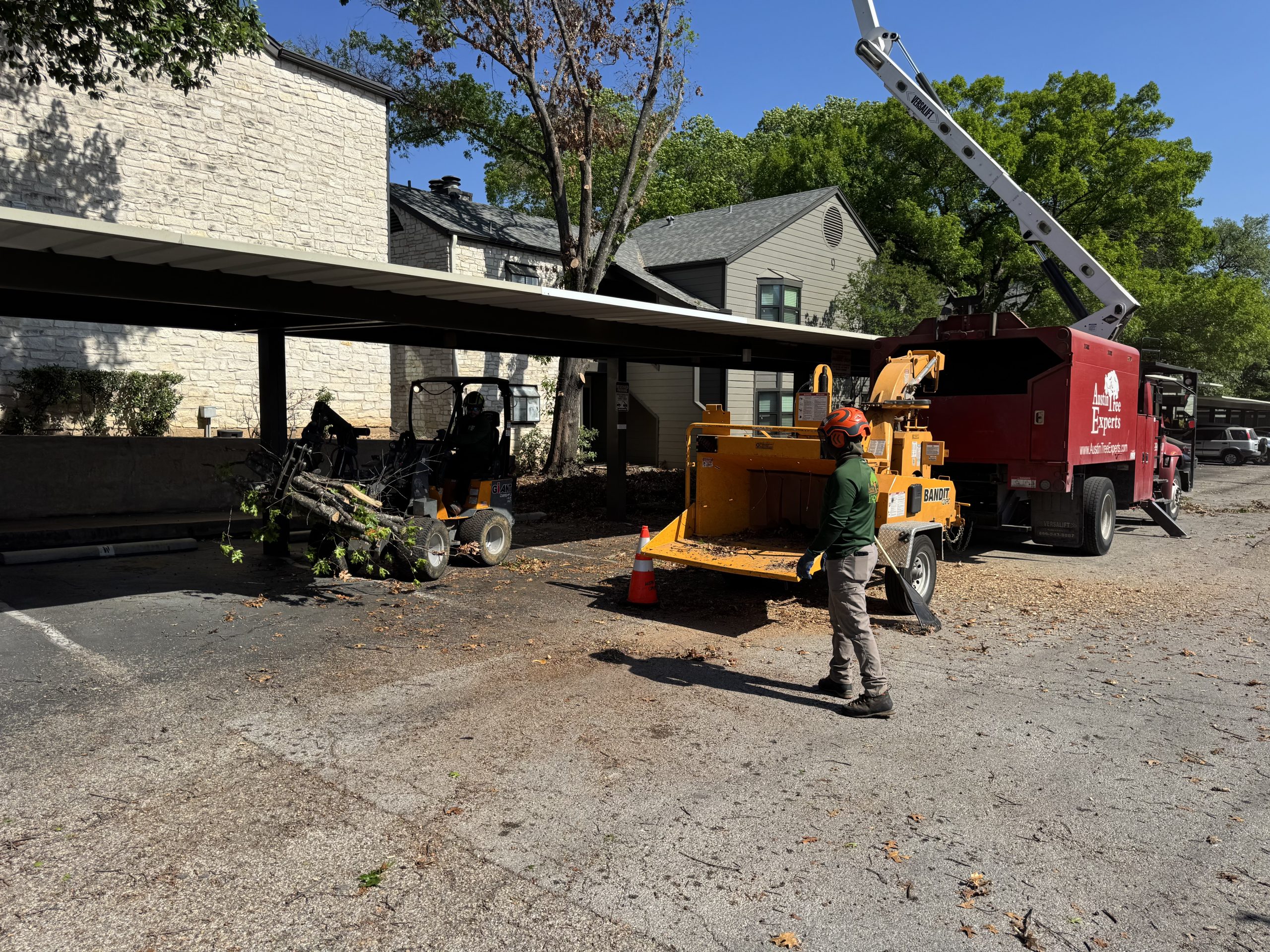 Austin Tree Experts crew feeding wood chipper with bucket truck working above