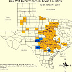 ow_distribution03_tx.jpg